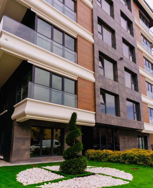 begonya-kolej